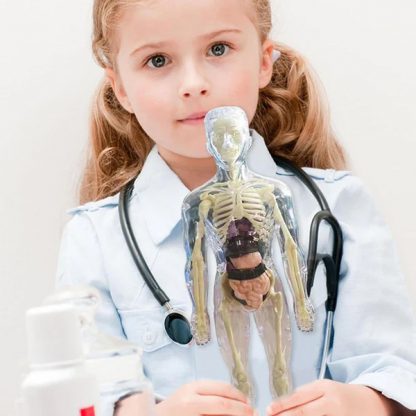 Lidské tělo - tělo pro výuku anatomie