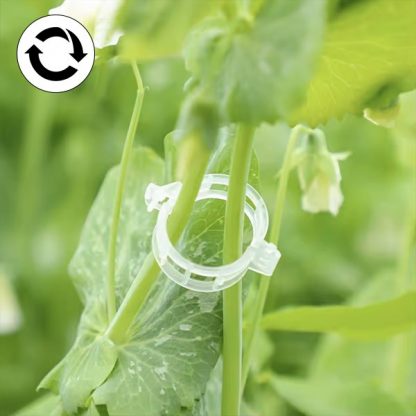 60x Podpora pro rostliny - GreenGrow